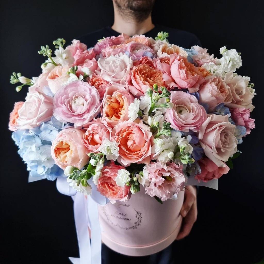 коробочка Венера