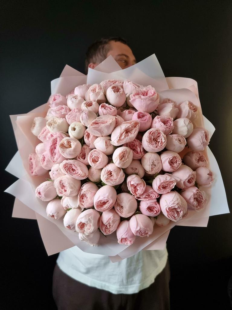 РОЗА ПИОНОВИДНАЯ МИНСФИЛД ПАРК