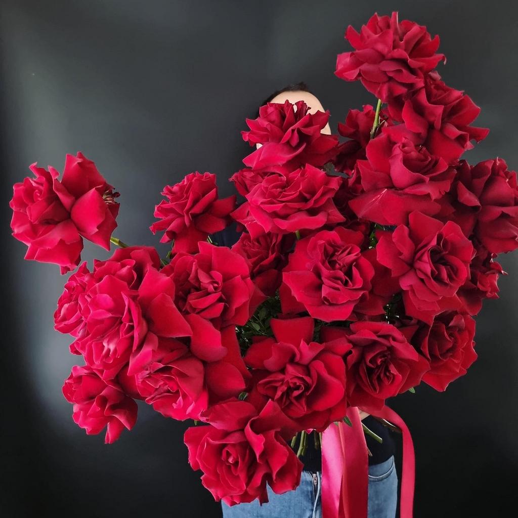 МОНО БОРДО С ЭФФЕКТОМ WOW