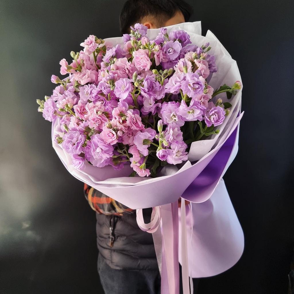 маттиола розовая и лавандовая