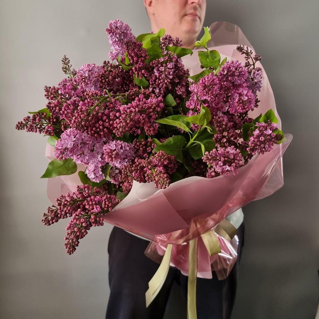 МОНО СИРЕНЬ