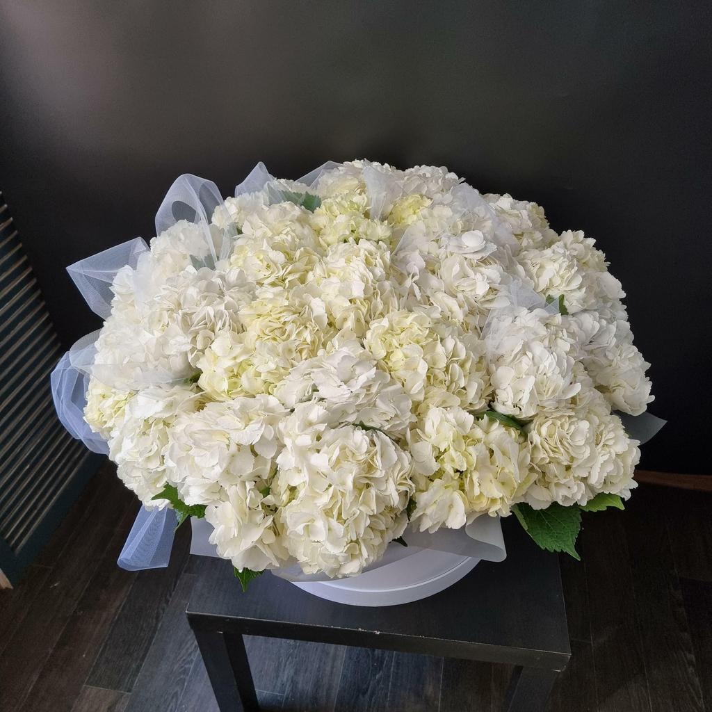 BOX гортензия