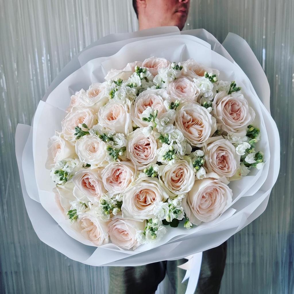 РОЗА ВАЙТ ОХАРА & МАТТИОЛА