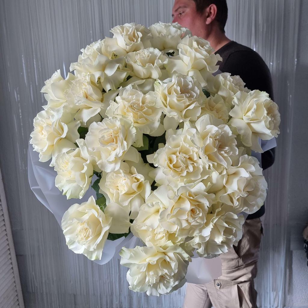 РОЗА МОНДИАЛЬ