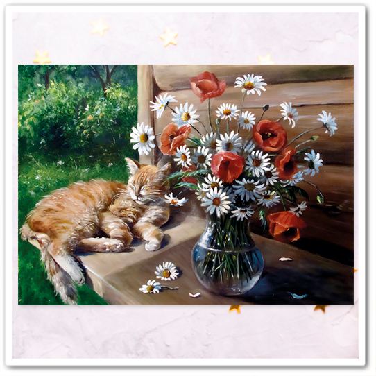 Коты и букеты. Ромашки