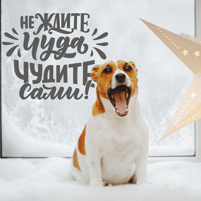 Наклейка на стену «Не ждите чуда, чудите сами»