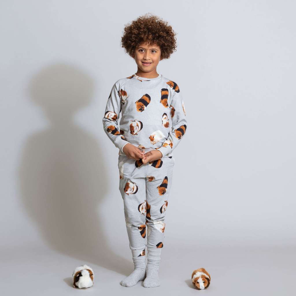 "Морские свинки" Свитер и штаны Дети.