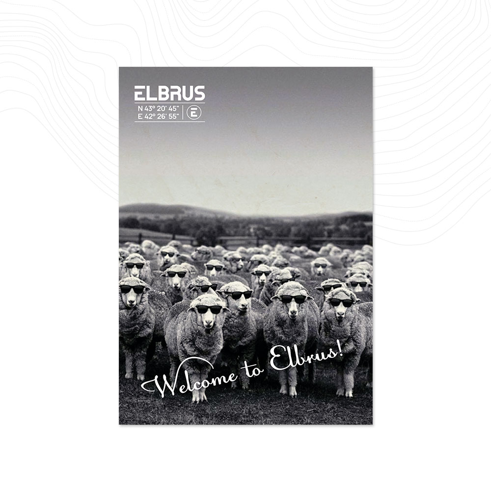 Открытка «Барашки 007»