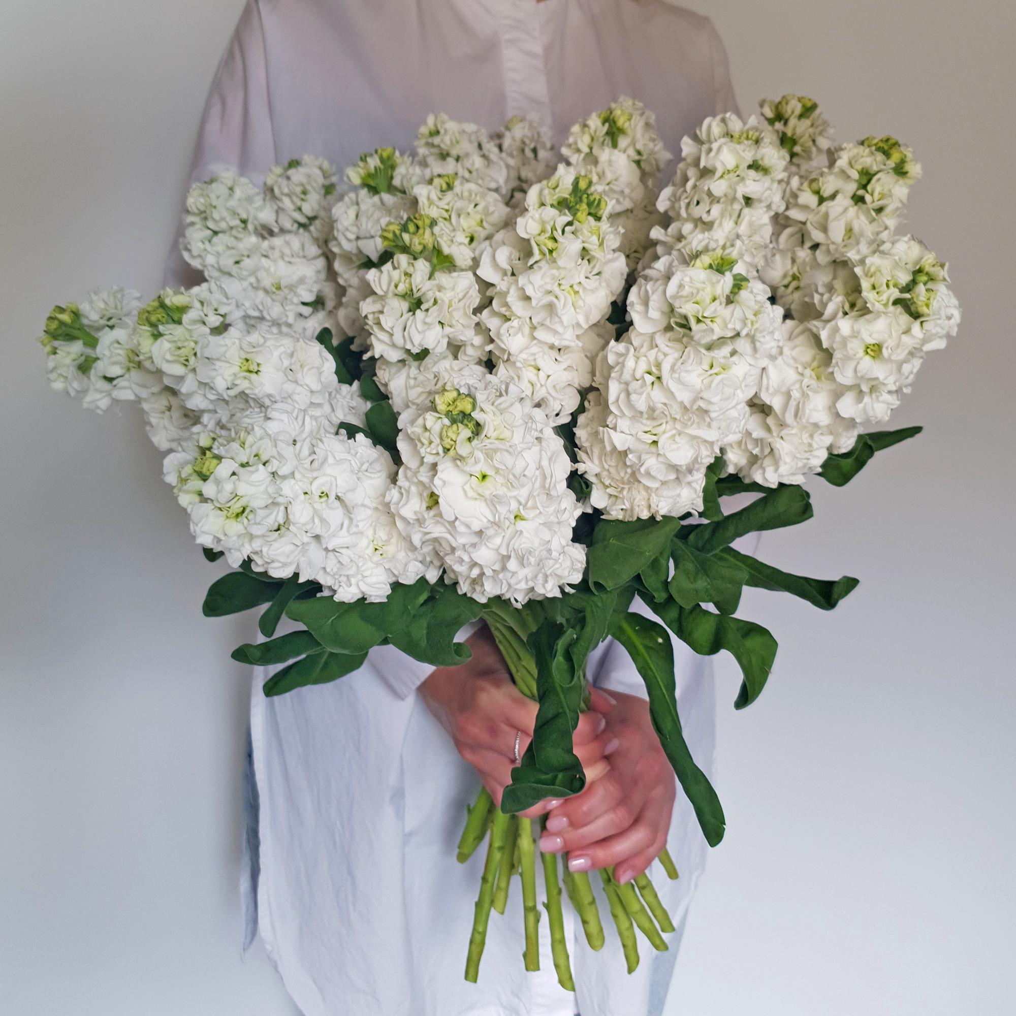 Single-flowers №52