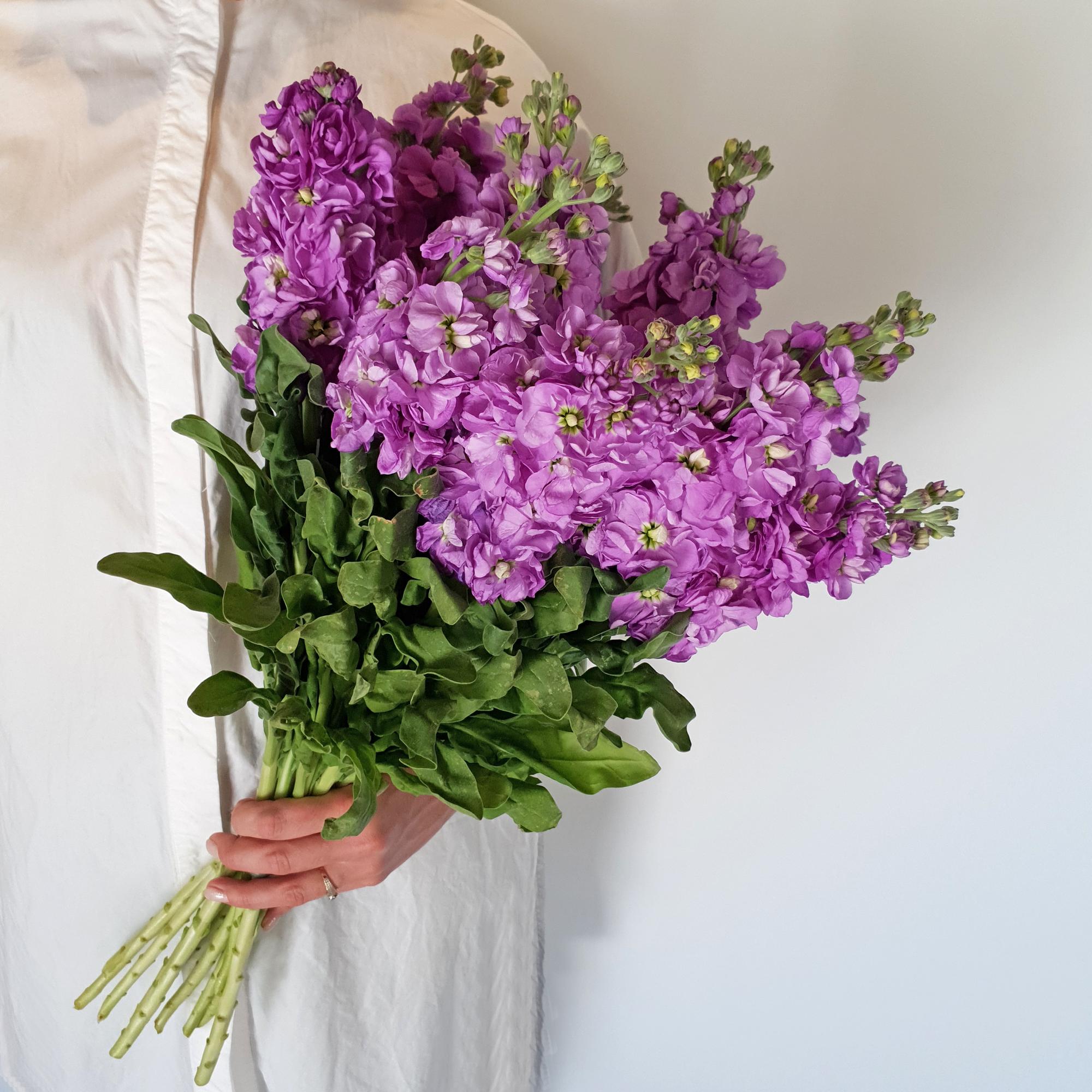 Single-flowers №28