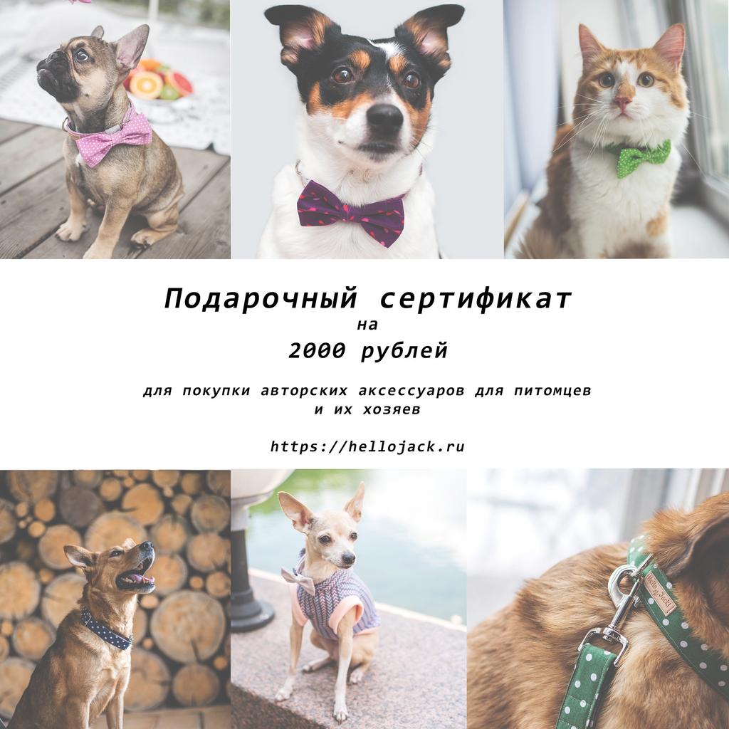 Подарочный сертификат, номинал 2000 рублей