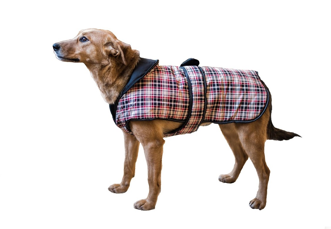 Пальто для собак CLASSIC CHECK LUXURY