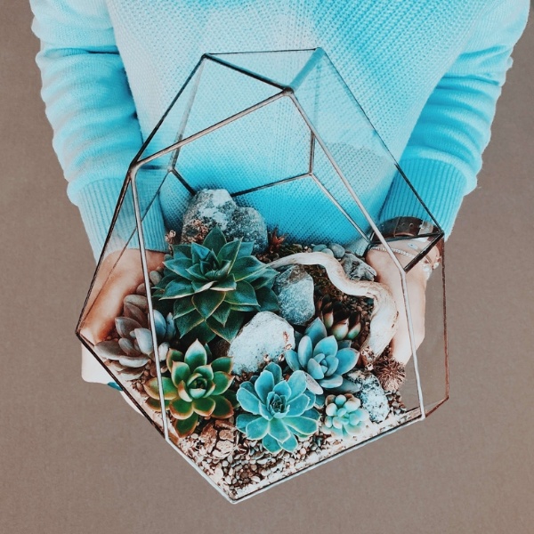 большой флорариум Айсберг с суккулентами