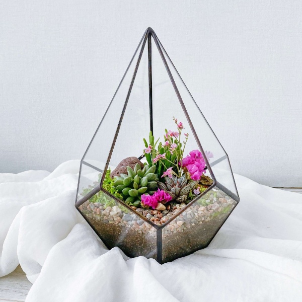 флорариум с суккулентами Лесная полянка