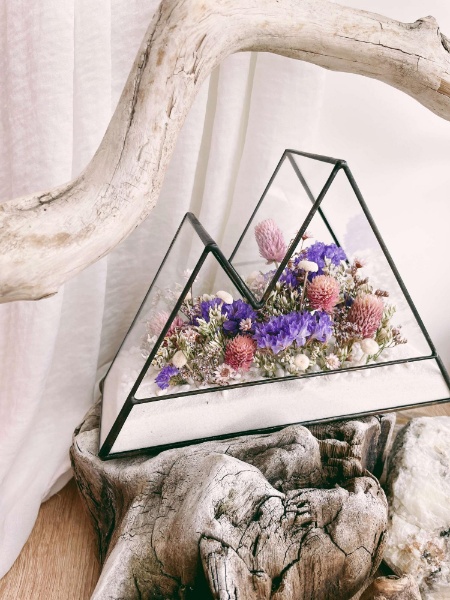 флорариум мини-горы Глициния