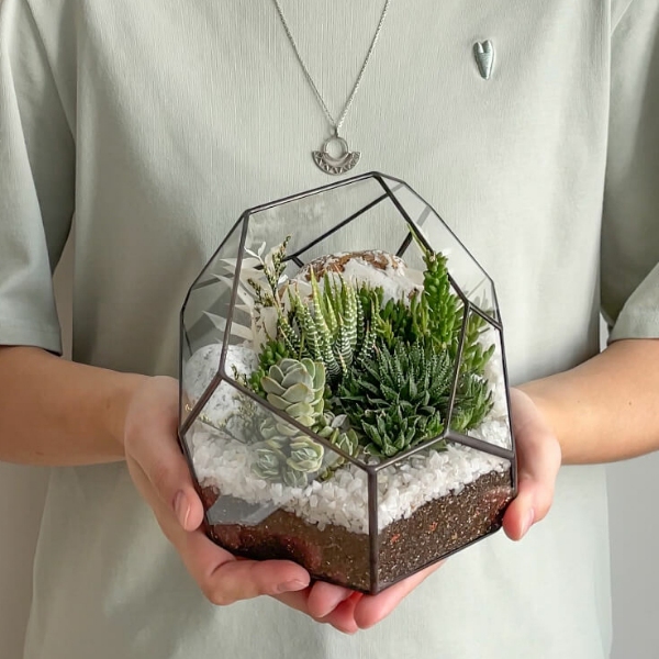 флорариум с теневыносливыми суккулентами Стоун