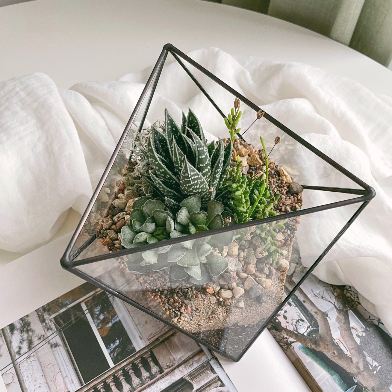 флорариум октаэдр с теневыносливыми суккулентами Лесной