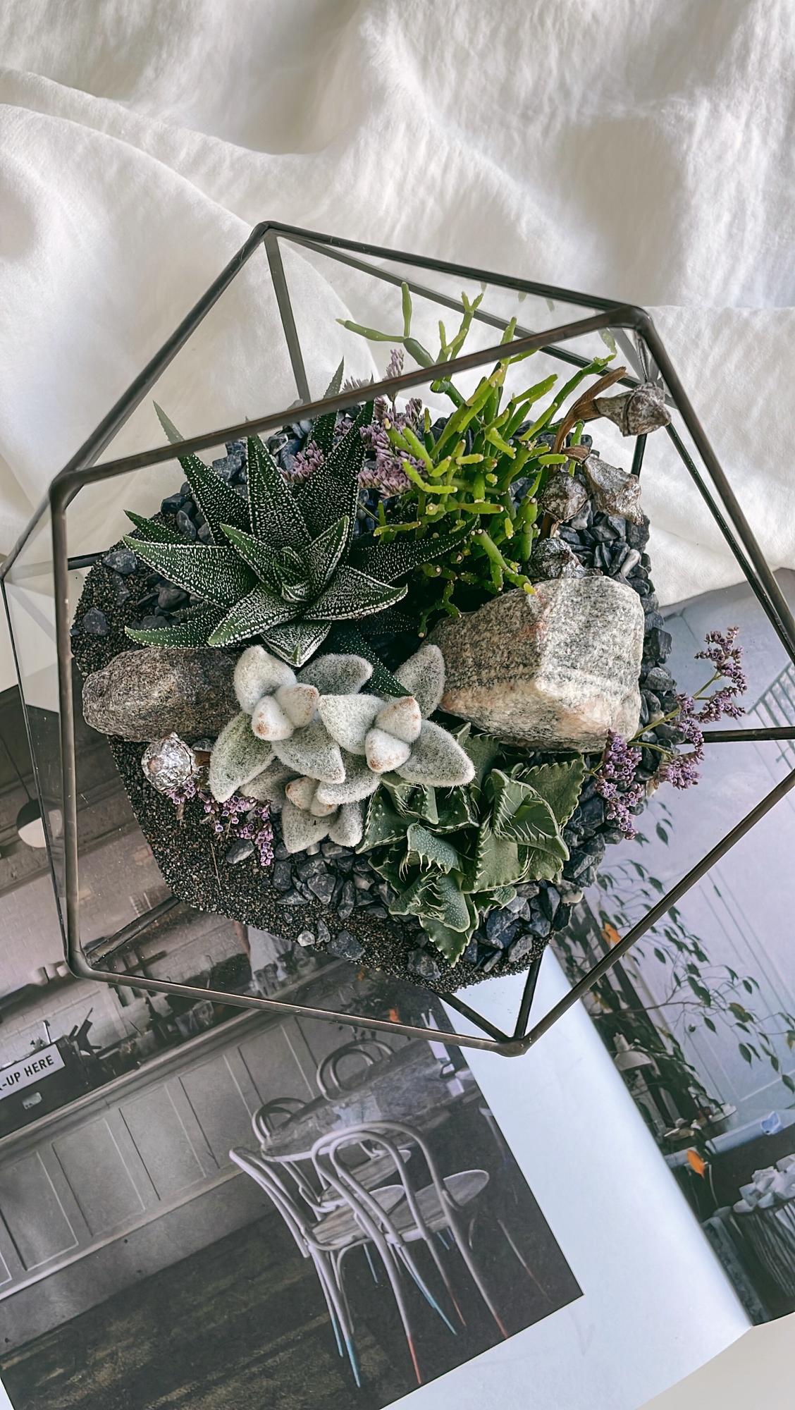 флорариум c теневыносливыми суккулентами Камчатка