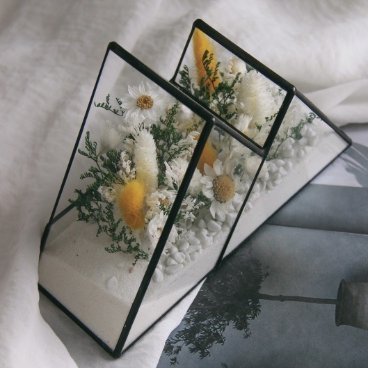 флорариум мини-горы с Ромашками