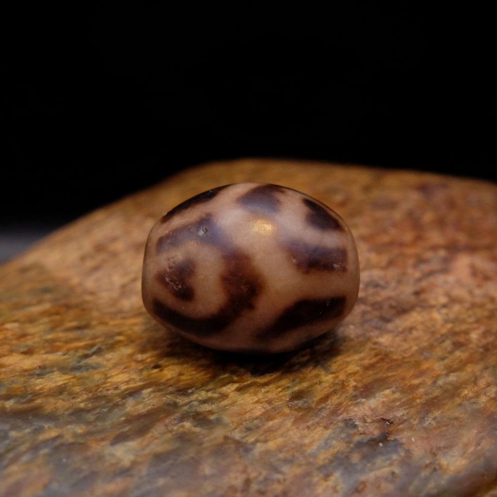 Старинная Бусина Дзи Бутоны Лотоса В Черепаховом Панцире N°5 (original)