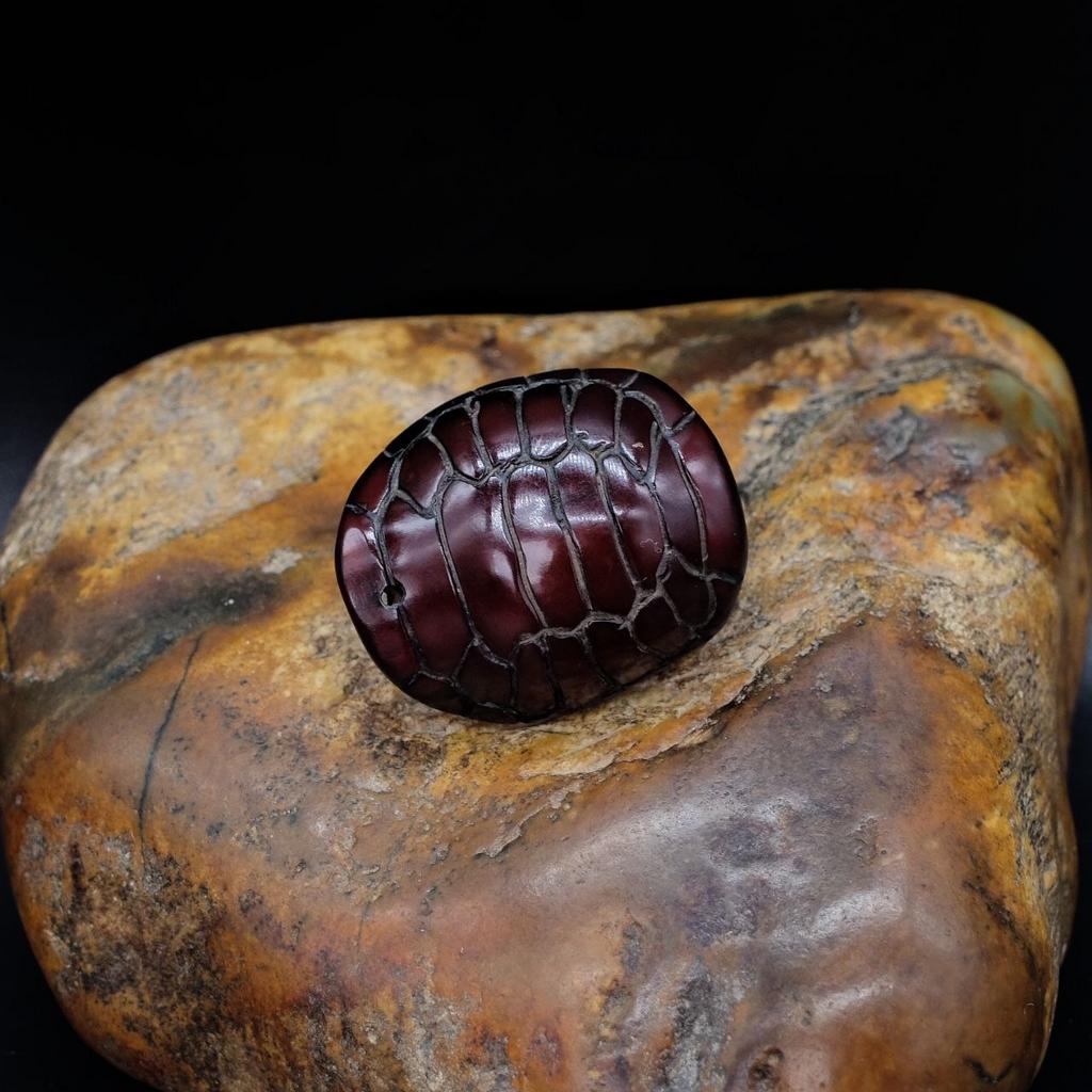 Панцирь черепахи из рога водяного буйвола