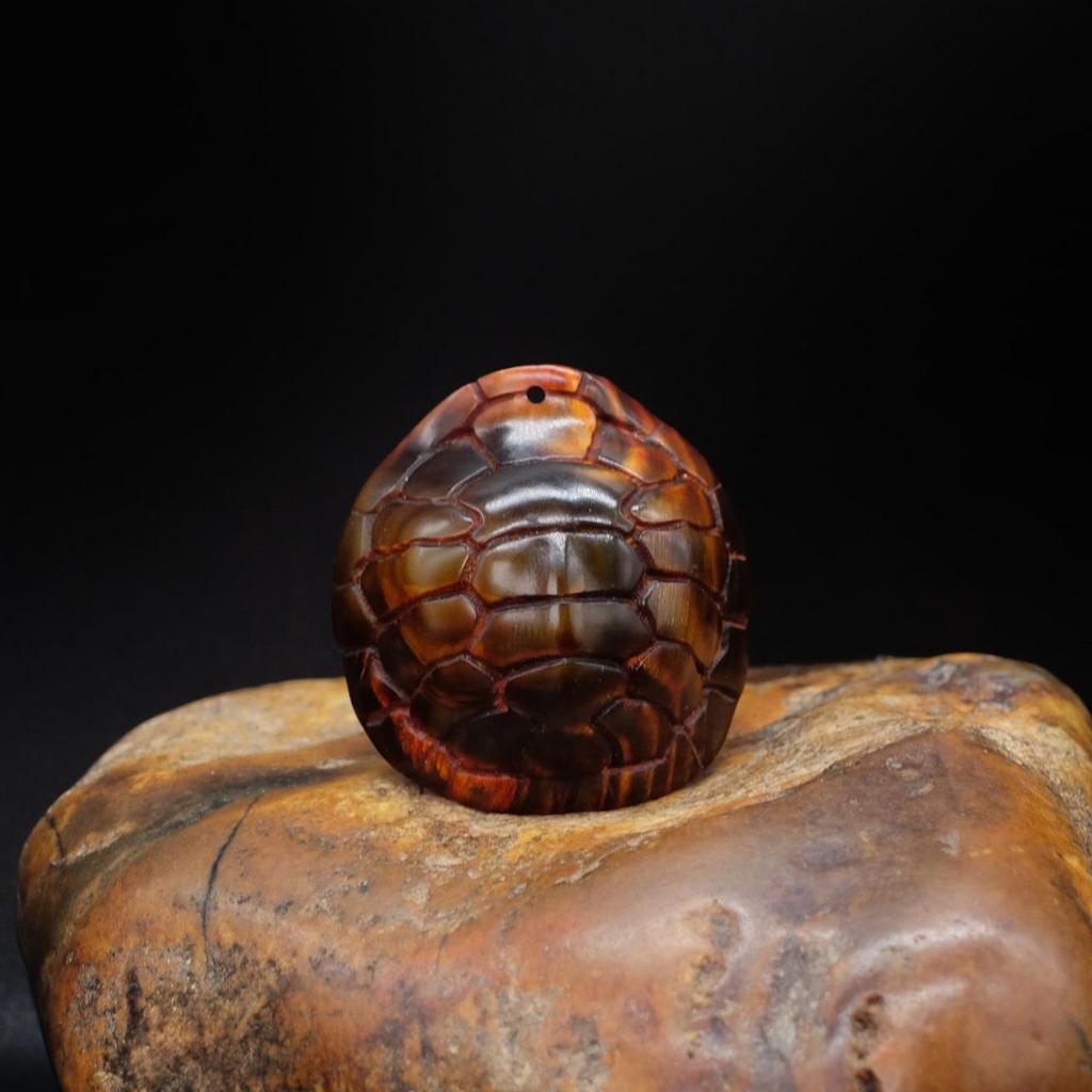 Большой Панцирь черепахи из рога водяного буйвола