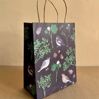 Крафт-пакет Птицы весенние