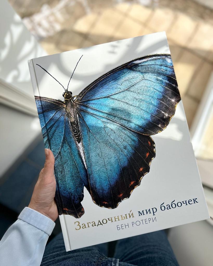 Загадочный мир бабочек