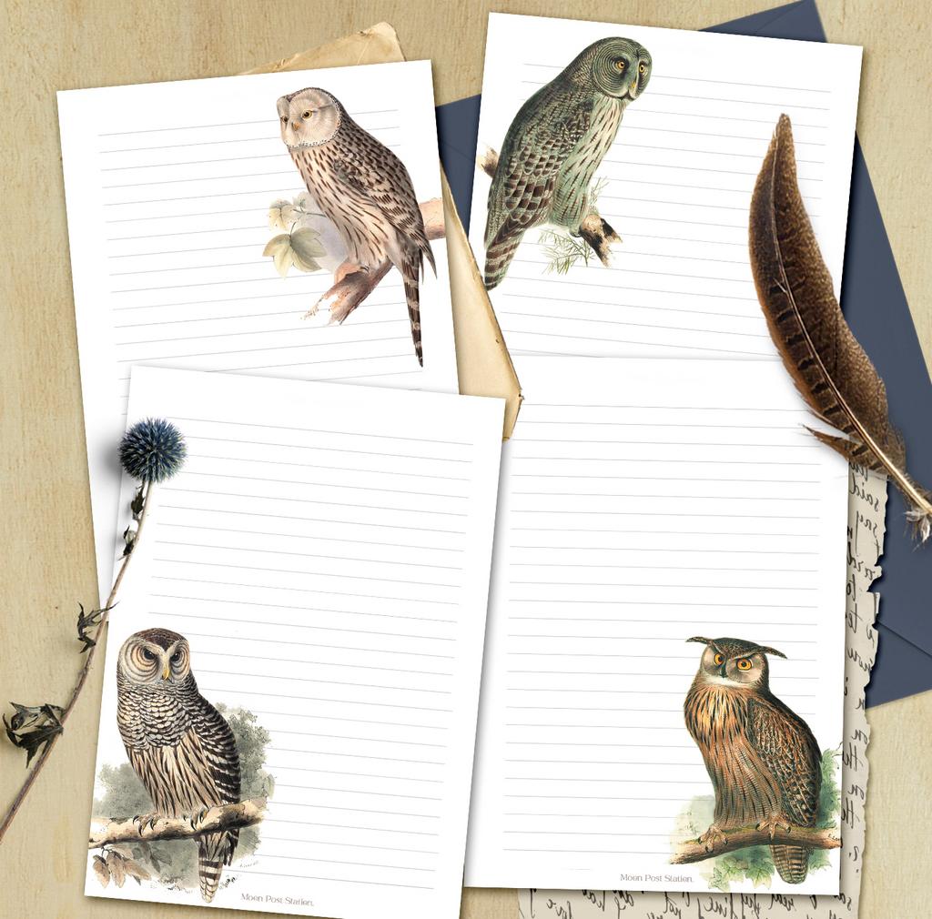 Бумага для писем «Owl collection»