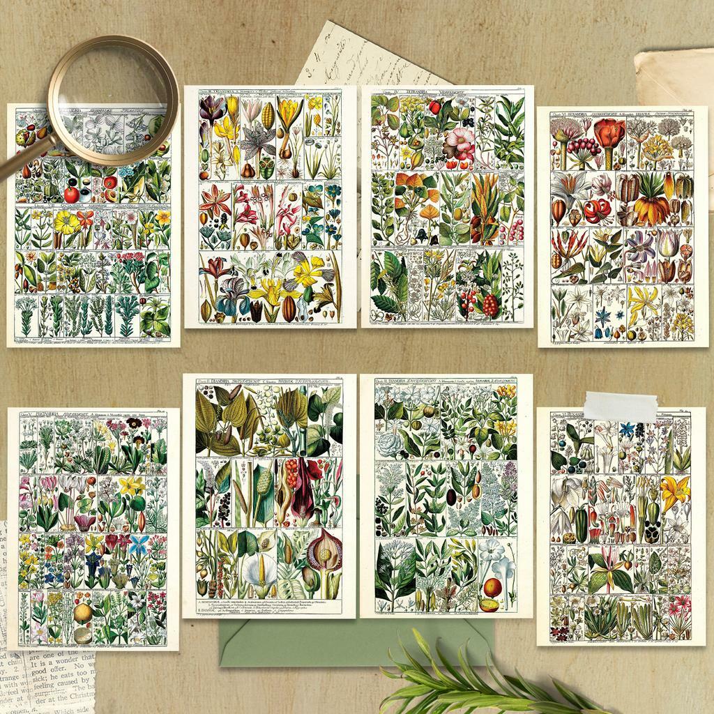 Набор почтовых открыток «Ботанический атлас»