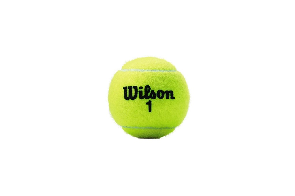 Теннисные мячи Wilson Championship Extra Duty (3 шт. в упак.)