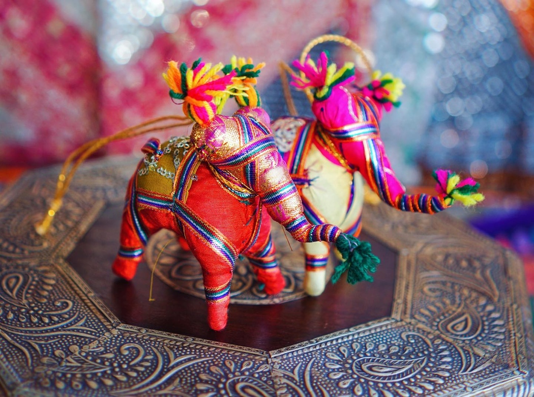 Раджастанские слоны