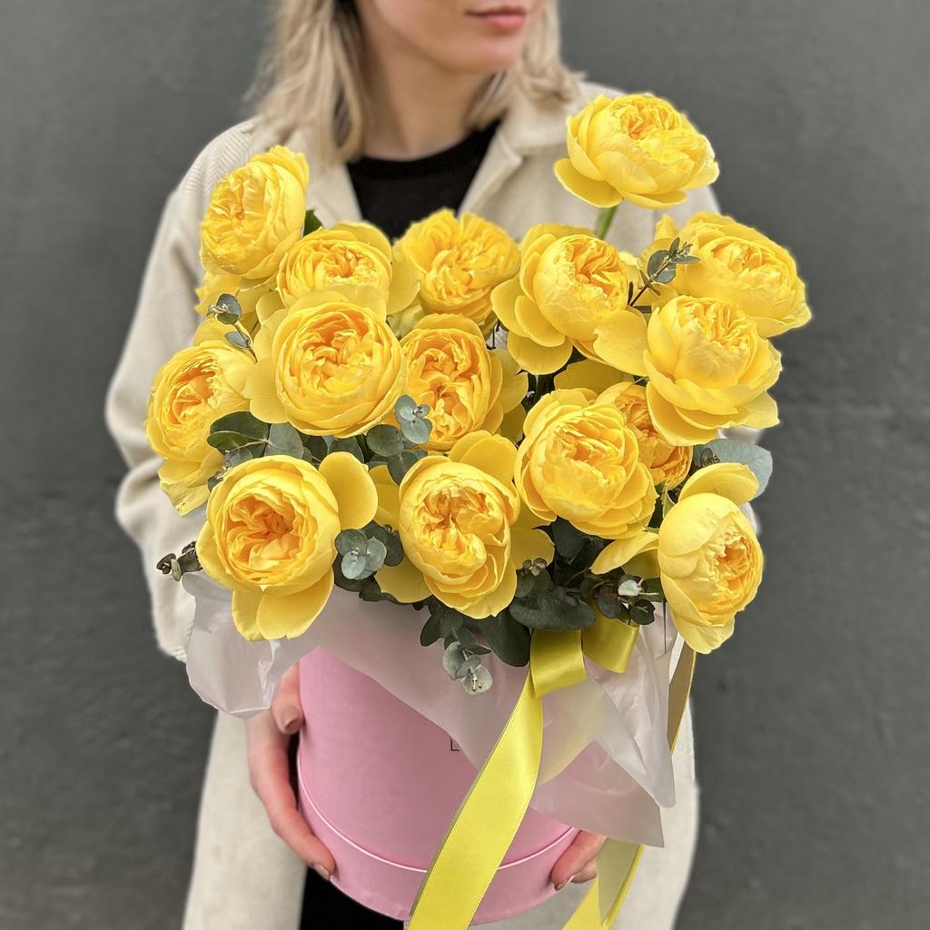 Композиция «Солнечная Каталина»