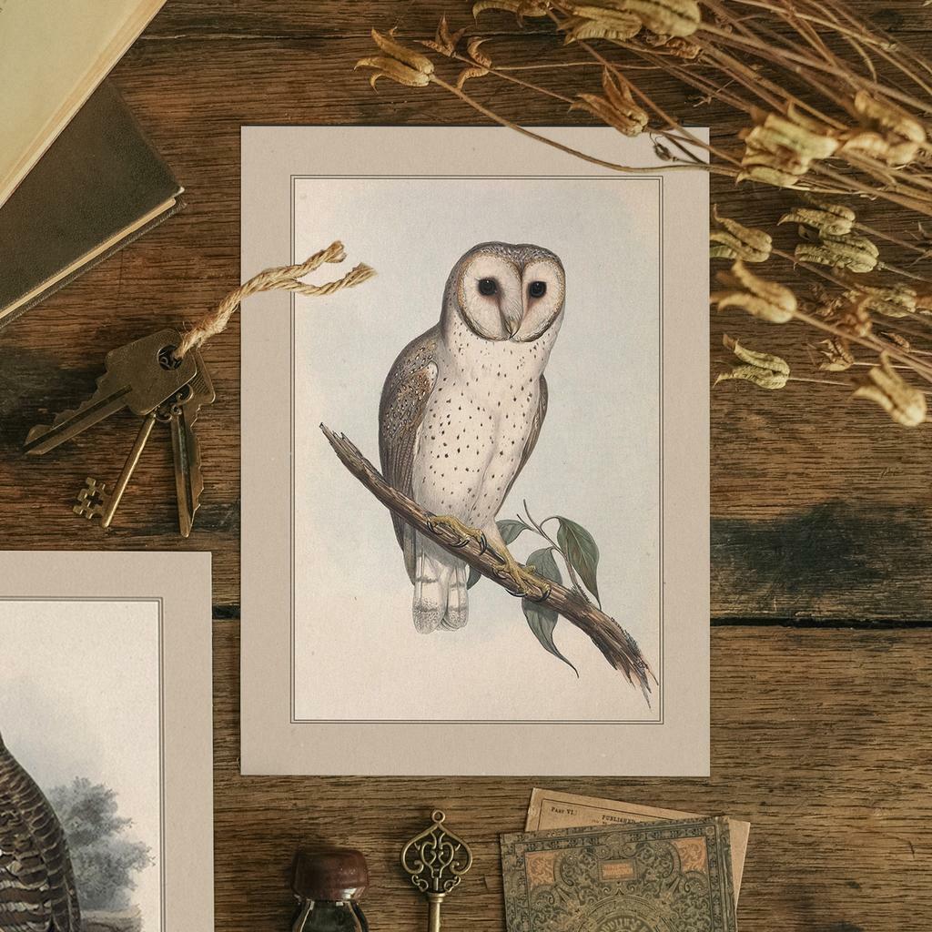 "Нежная сова" почтовая открытка для посткроссинга