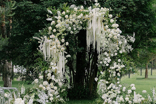 Церемония "Elegant"