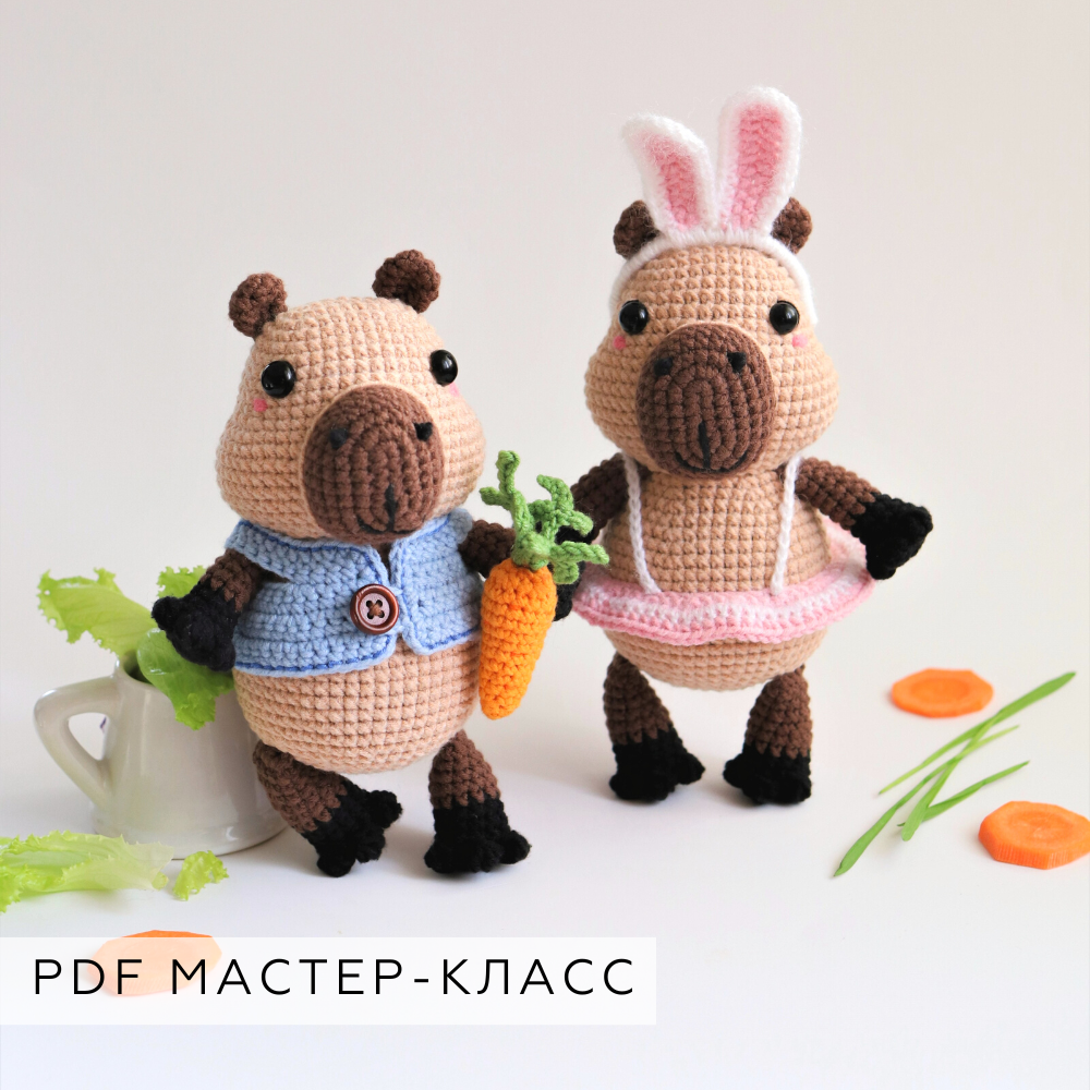Мастер-класс Капибара