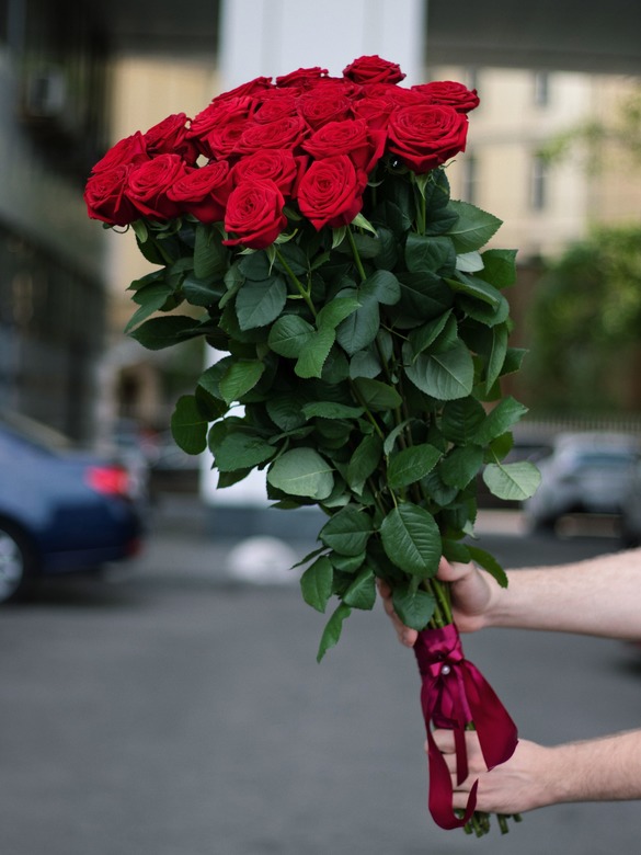 25 метровых роз 0135