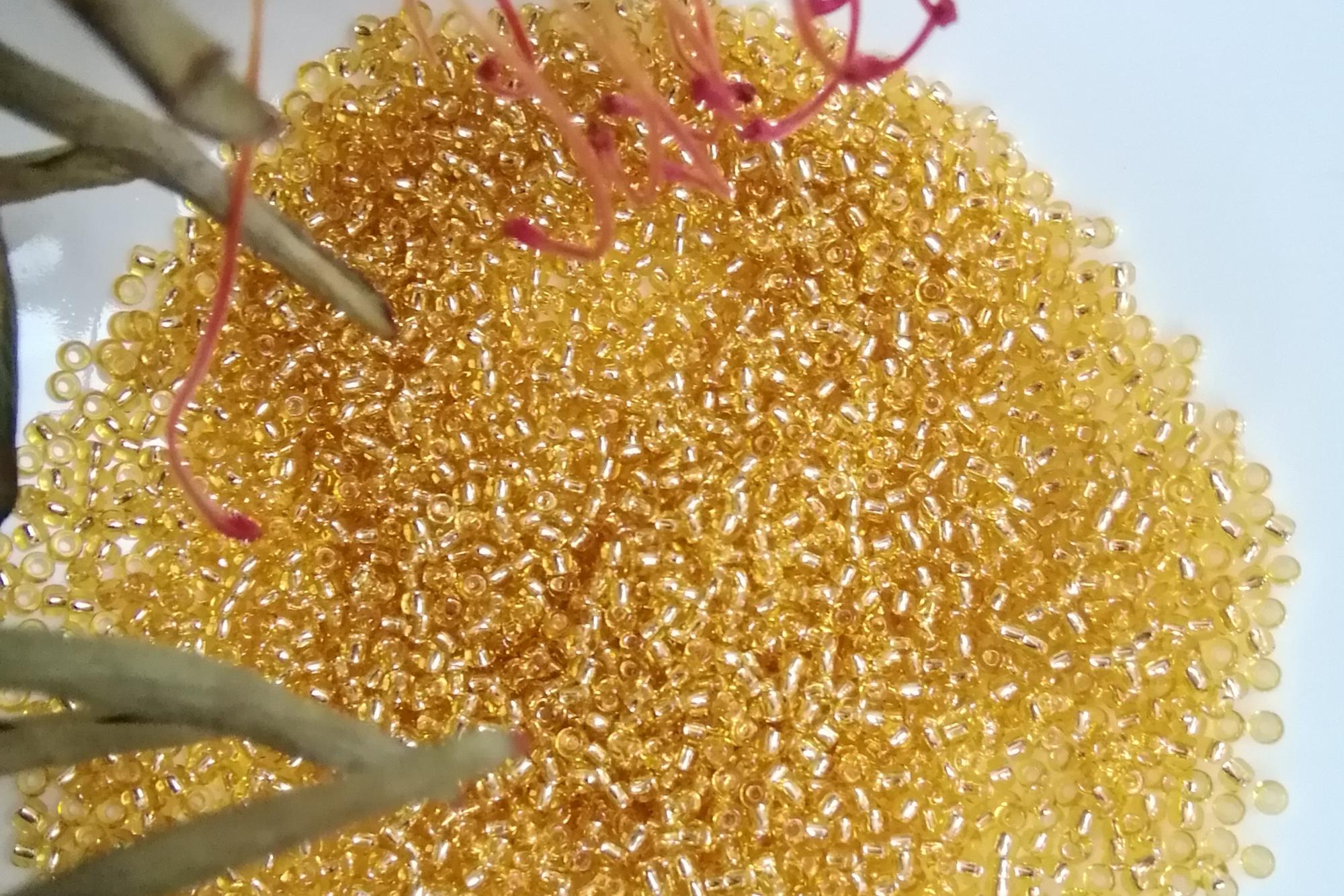 Бисер Японский TOHO, круглый, размер 11/0.  Цвет золотой №0022, прозрачный с посеребренным отверстием.