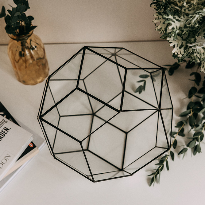 Флорариум  "Звездная сфера"