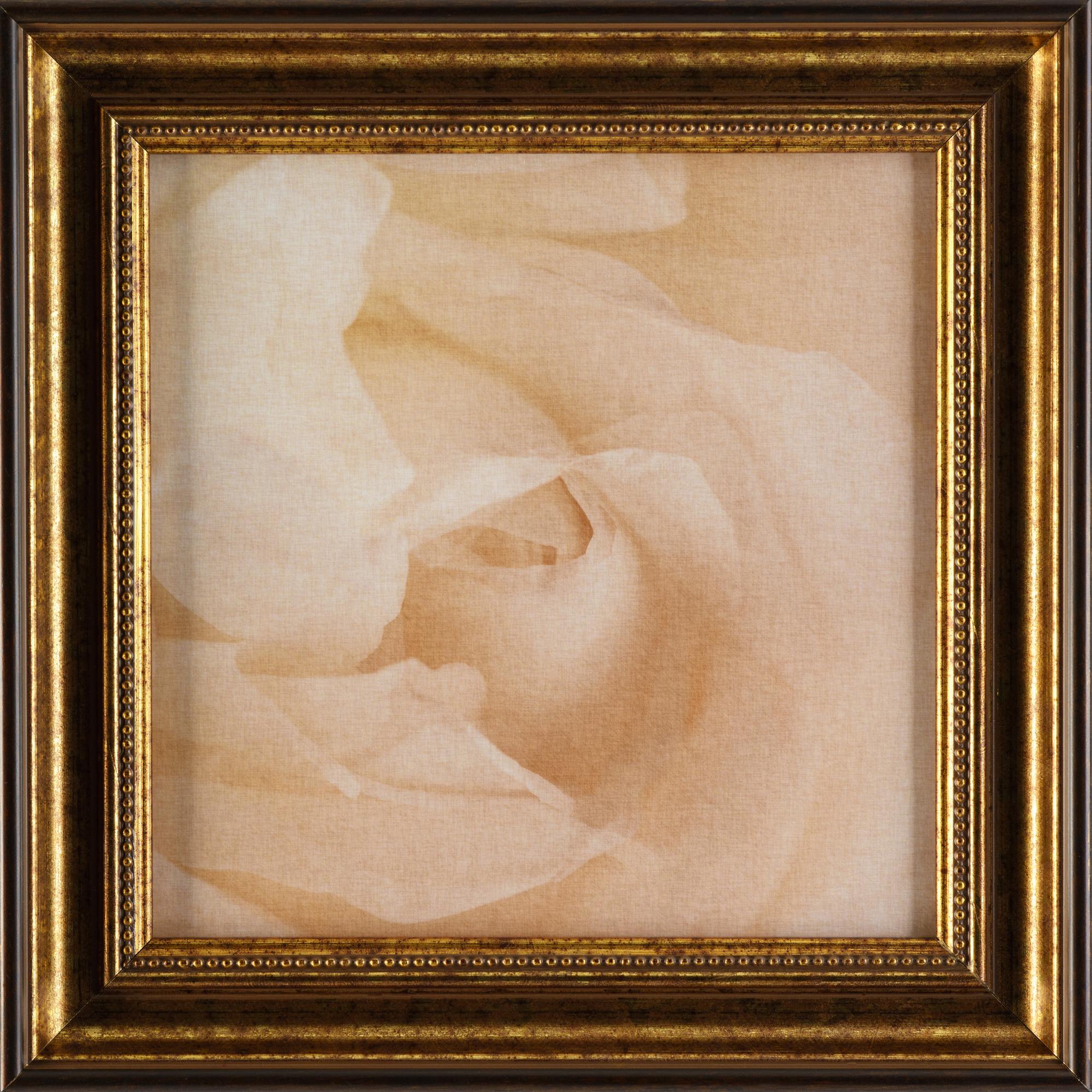 Print in the frame "White rose"