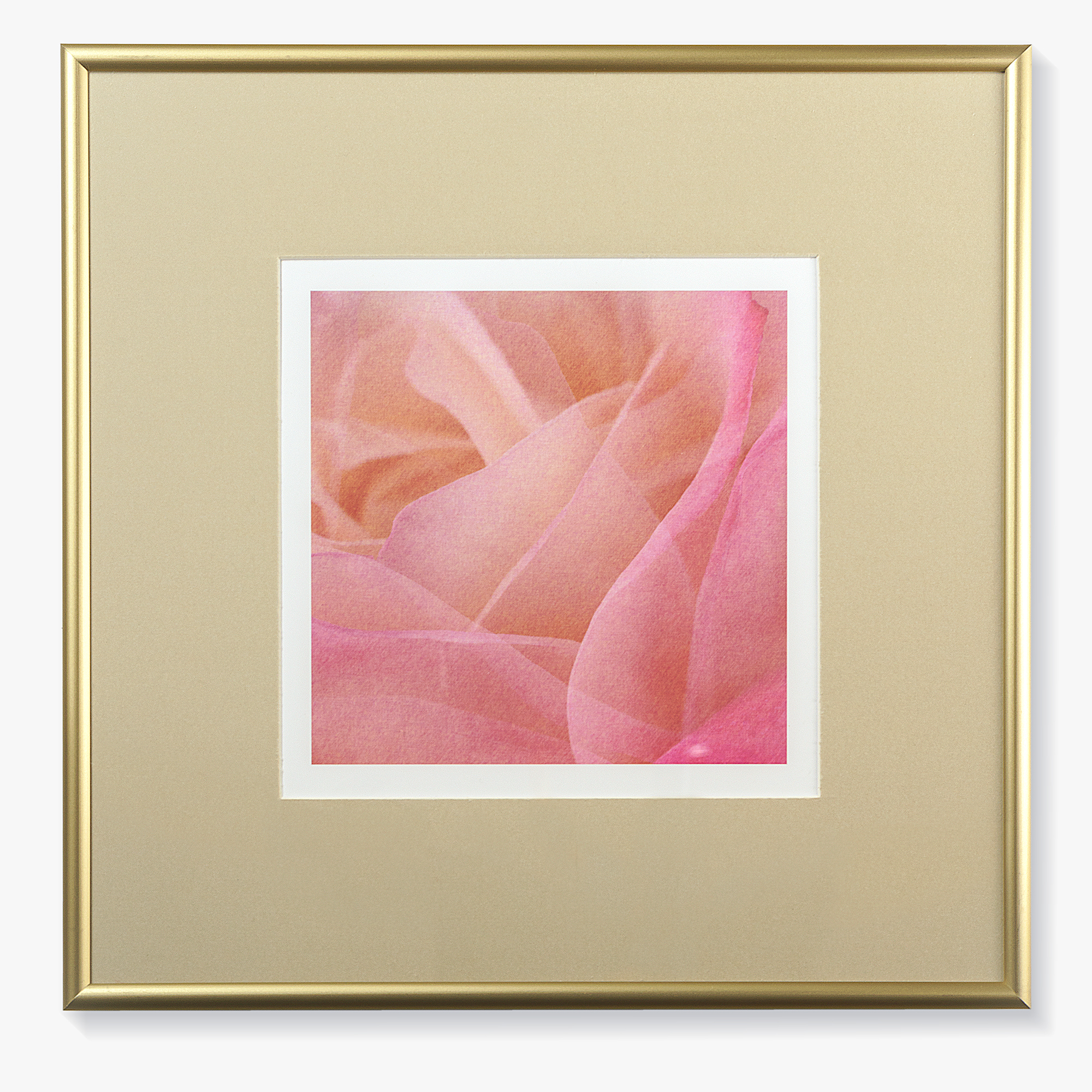 small Print with a passe-partout in the frame "Tenderness"