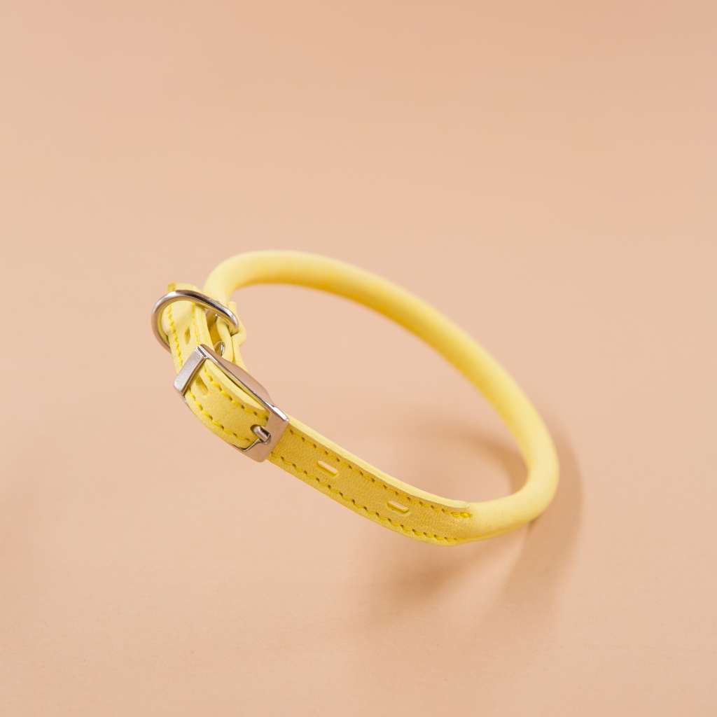 Кожаный ошейник  круглого сечения " Лимон"