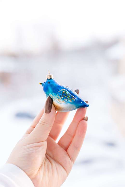 Птичка счастья синяя