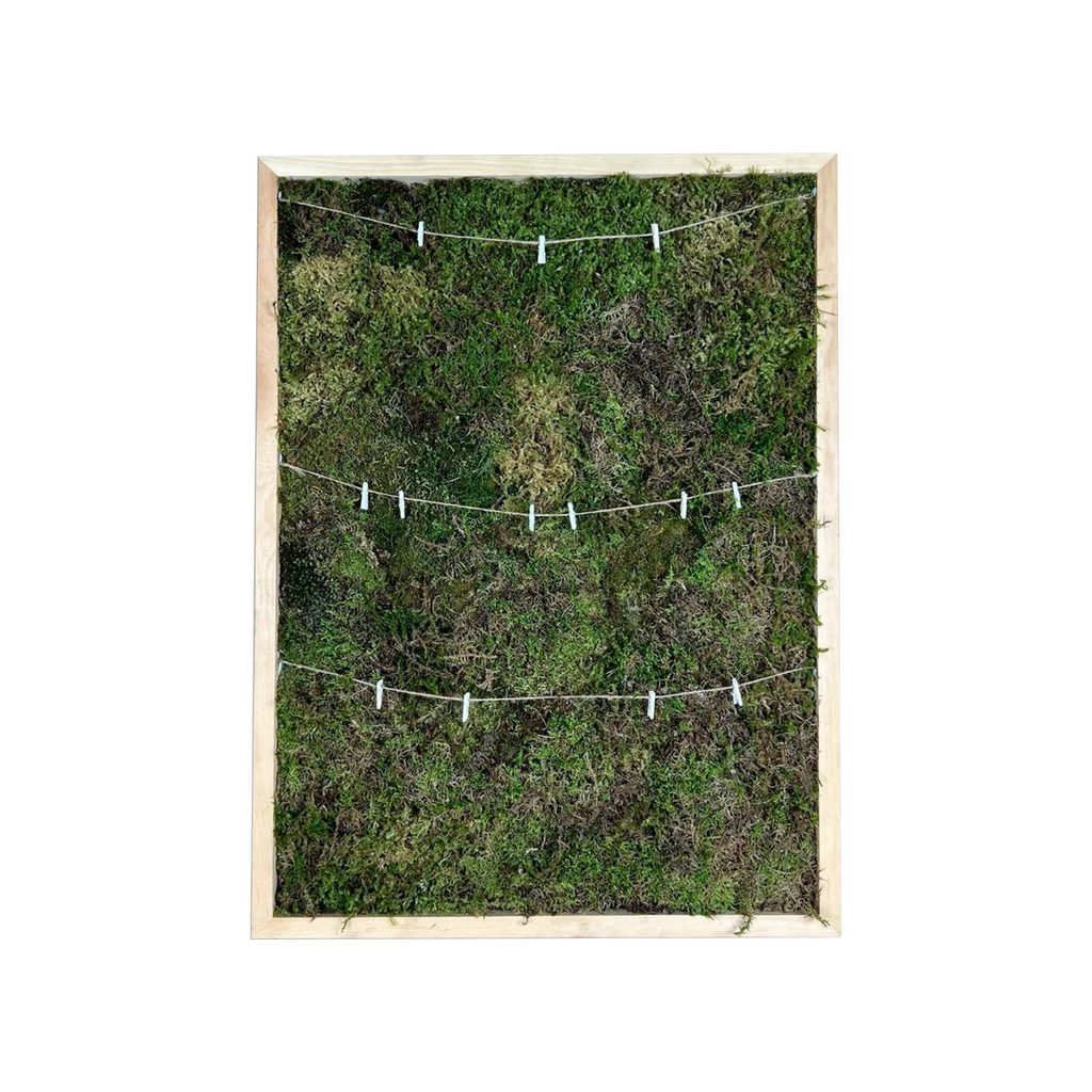 Панно из мха