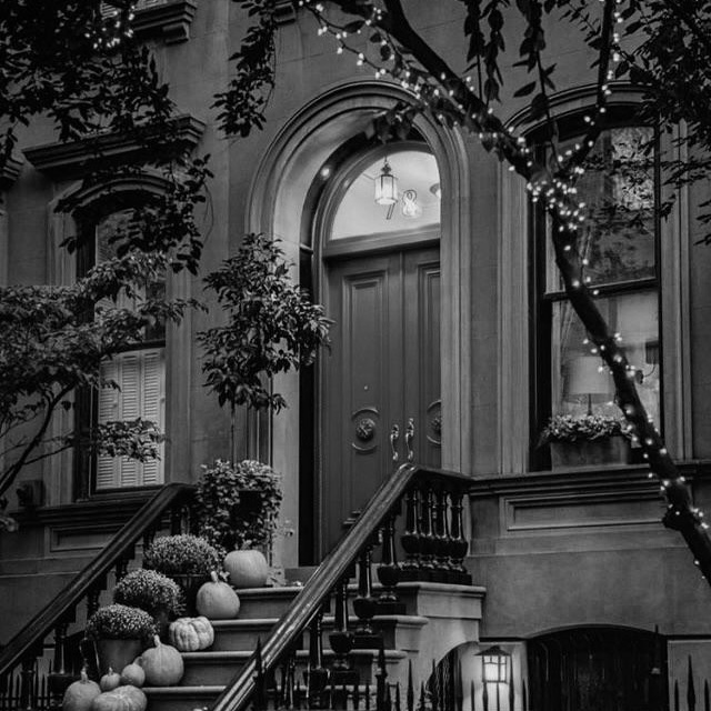 КУЛЬТ ЛИЧНОСТИ. НЬЮ-ЙОРК 12/10/19