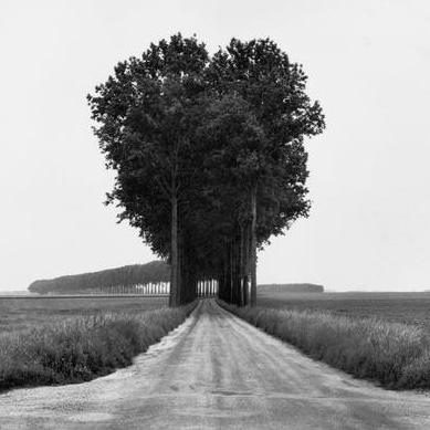 КАМЕРА ОБСКУРА. АНРИ КАРТЬЕ БРЕССОН, БАХ ФОТОГРАФИИ 14/05/23