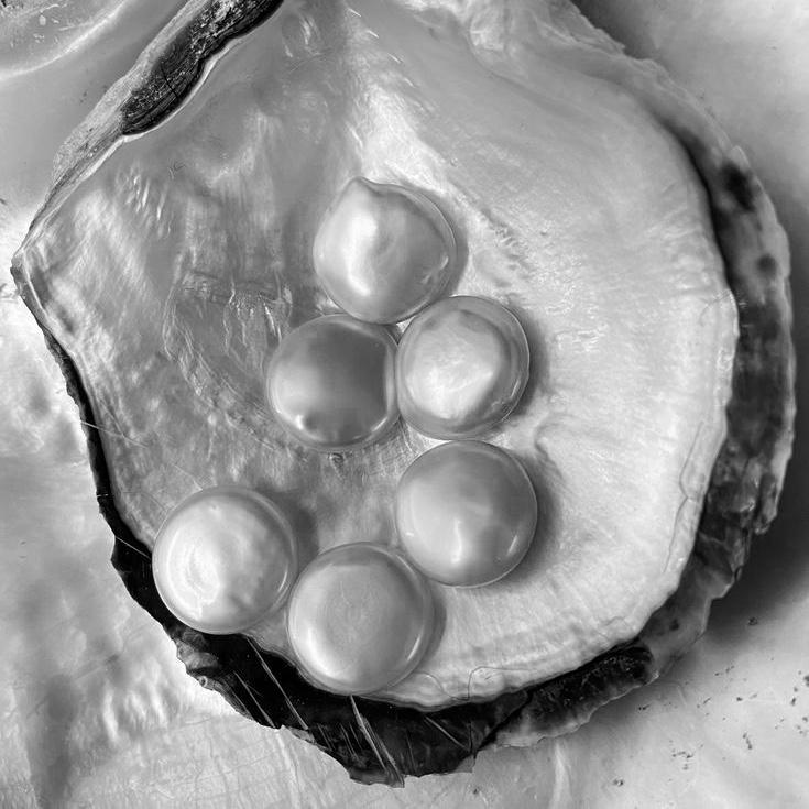 WINE TASTING. ЖЕМЧУЖИНЫ CHABLIS. RAVENEAU, DAUVISSAT И ДРУГИЕ  26/06/25