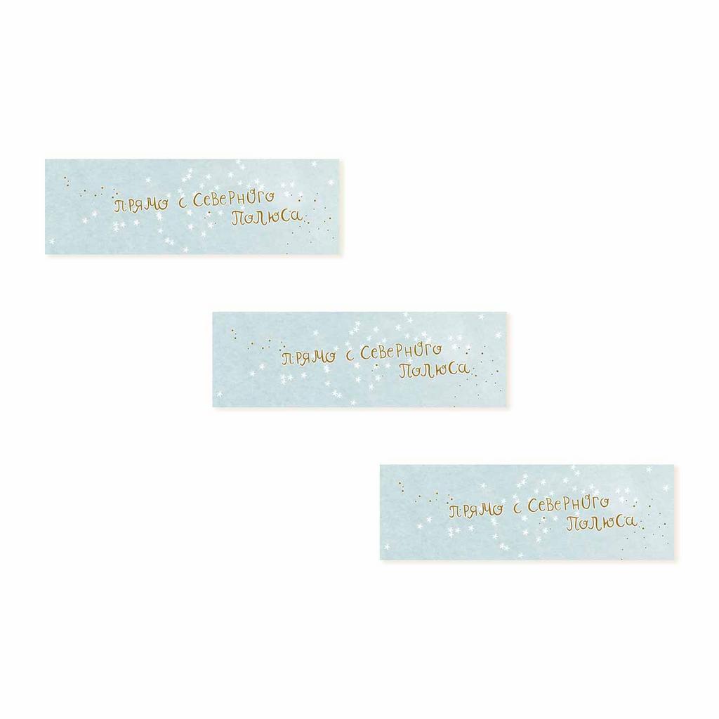 Бирки для подарков "Прямо с Северного Полюса", 3 штуки