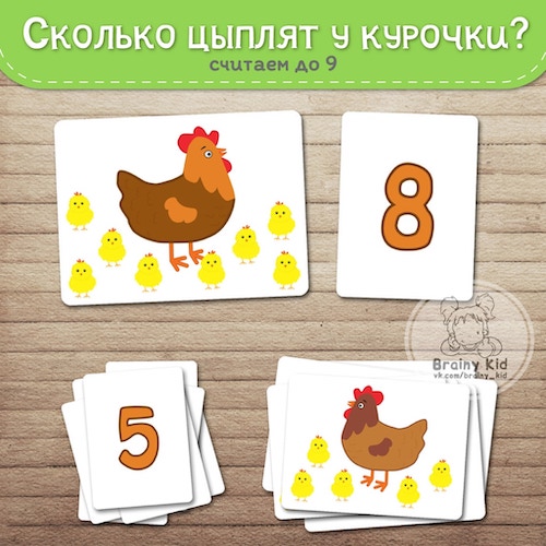 Сколько цыплят у курочки?
