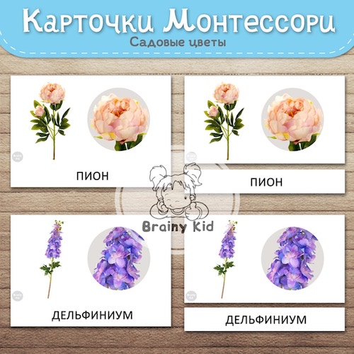 Карточки Монтессори – Садовые цветы
